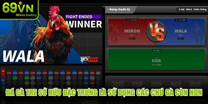Đá gà tre sở hữu đặc trưng là sử dụng các chú gà còn non độc đáo