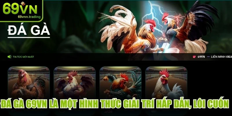 Đá gà 69VN là một hình thức giải trí hấp dẫn, lôi cuốn nhất