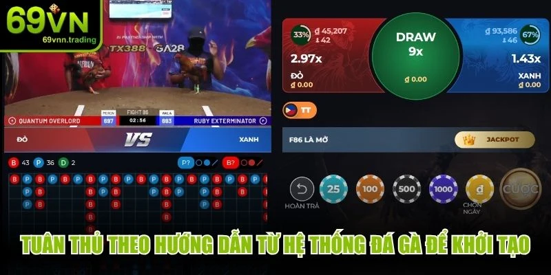 Tuân thủ theo hướng dẫn từ hệ thống đá gà để khởi tạo tài khoản
